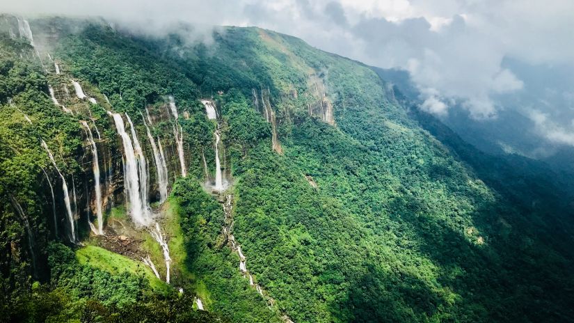 aerial view of a lush cliffside