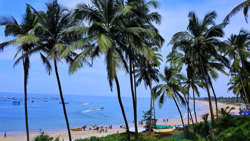 beach sand and palm trees with blue sky and sea as far the eyes can see @ Lamrin Ucassaim Hotel, Goa