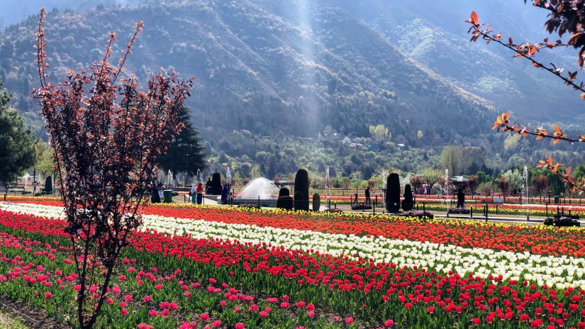 Srinagar Hill station in Kashmir 1