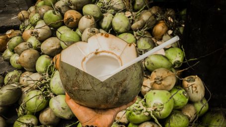 a person holding a coconut