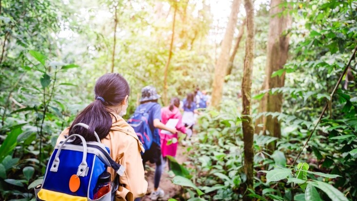 Group of Children going for trekking