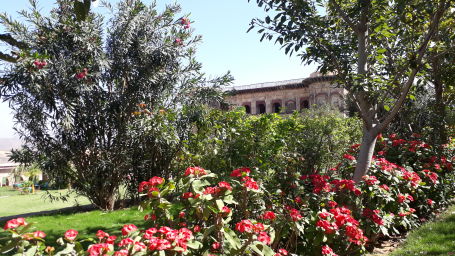 Garden_ Tijara Fort-Palace - 19th Century Alwar. Palace Hotel In Rajasthan