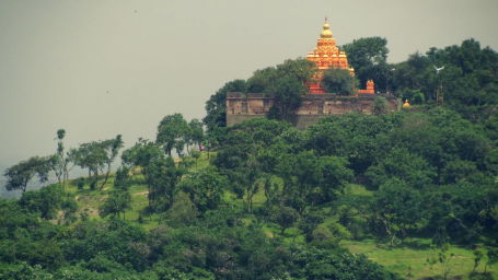 a temple amidst a forest