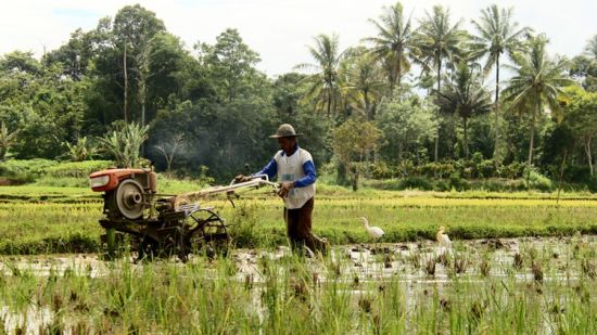 an image of a man working on the field 