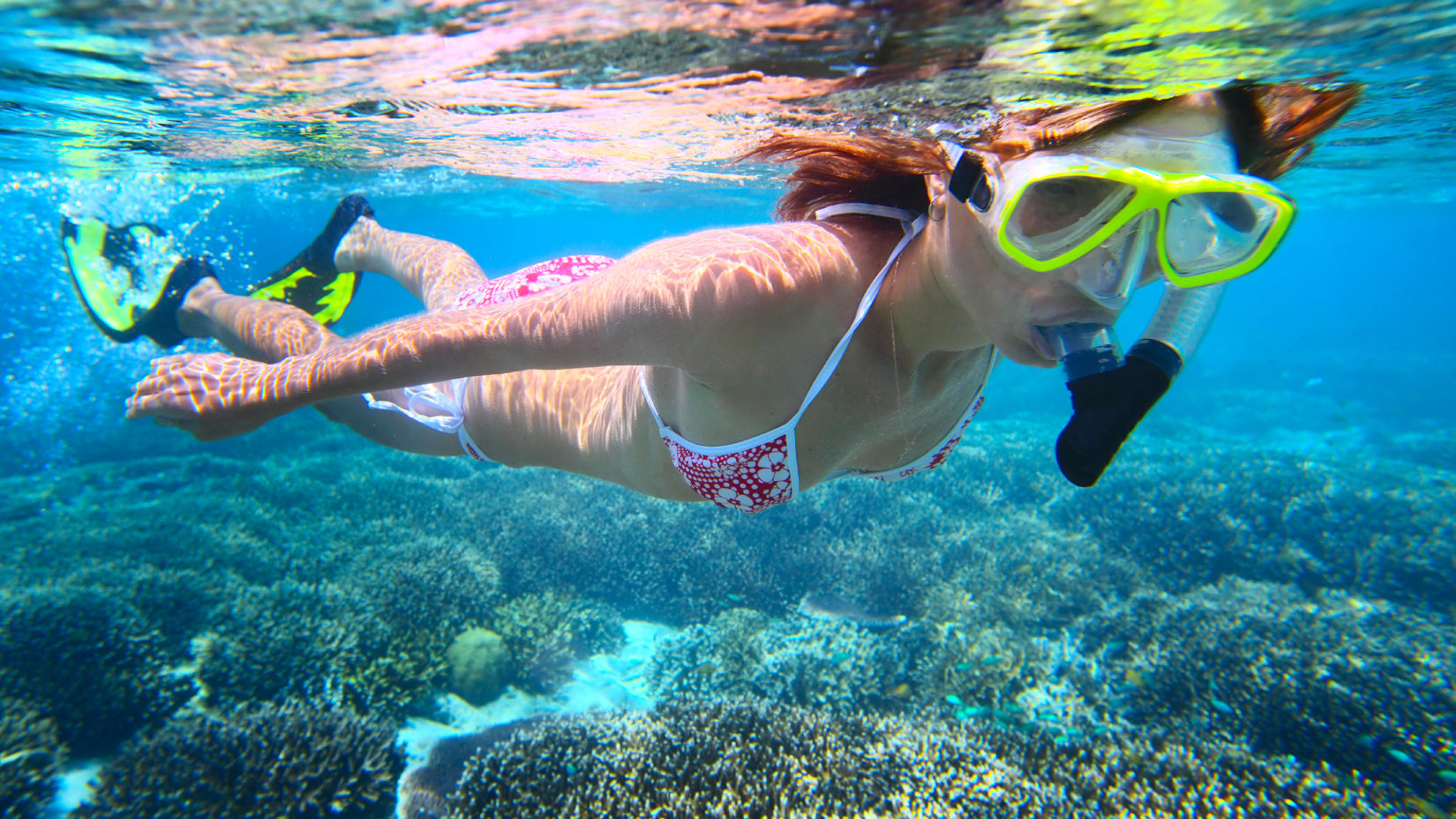 Snorkeling at Barefoot Havelock