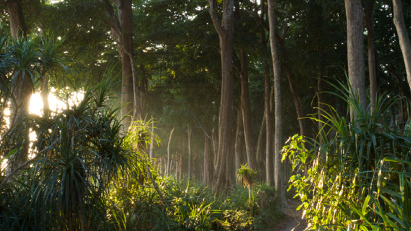 hiking trail in Havelock