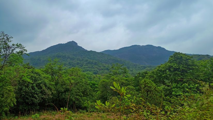 view of lush mountains