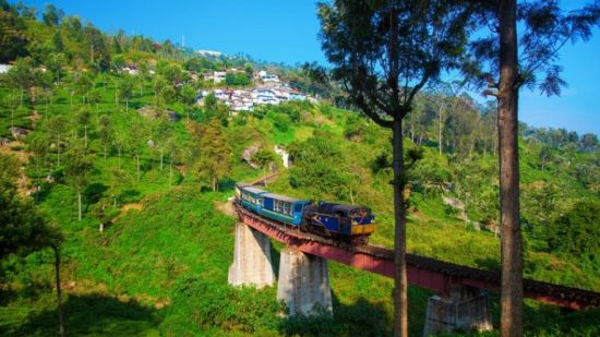 a train travelling on the track with greenery around 