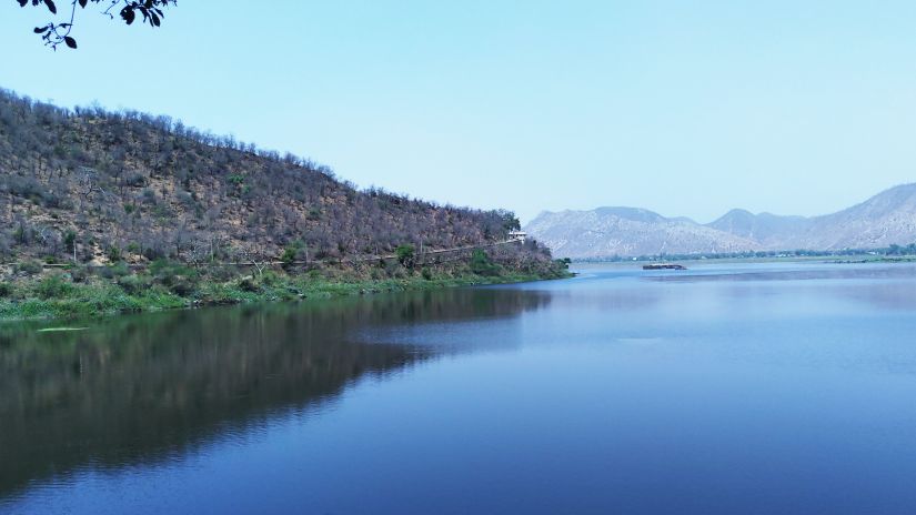 The lush green hill descends towards the Siliserh Lake in Alwar