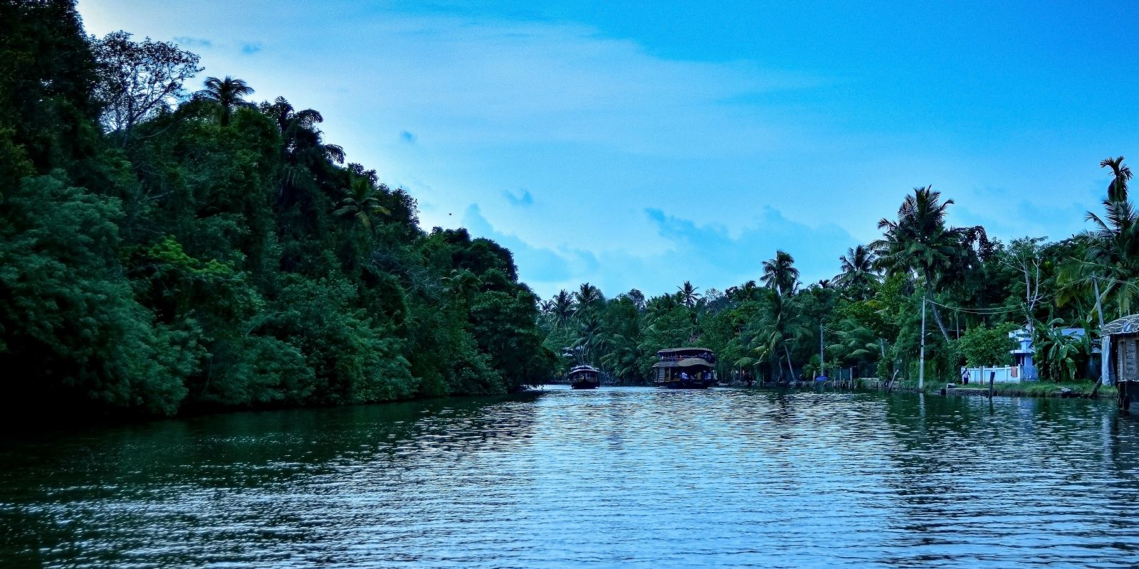 elegant boathouse in Kumarakom captured during the day2