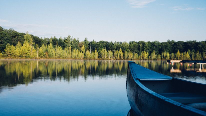 a boat standing by the river encircled by dense forest