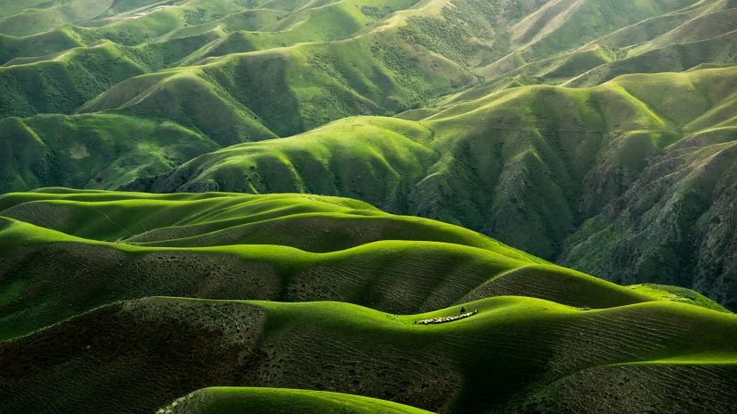 many rolling hills blanketed by green grass across it