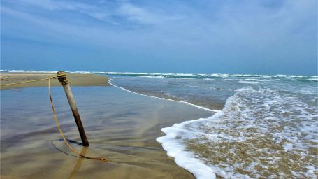 Beach shore under clear blue sky