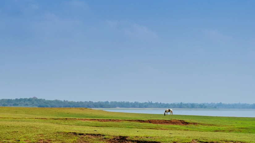 kabini backwaters