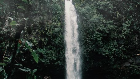 Waterfall amidst the woods surrounded by trees at Shimla