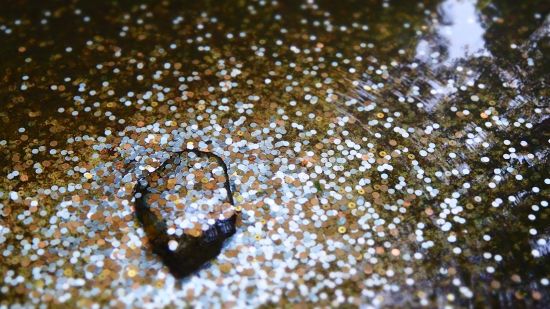 slime balls in a sea with light reflected on it