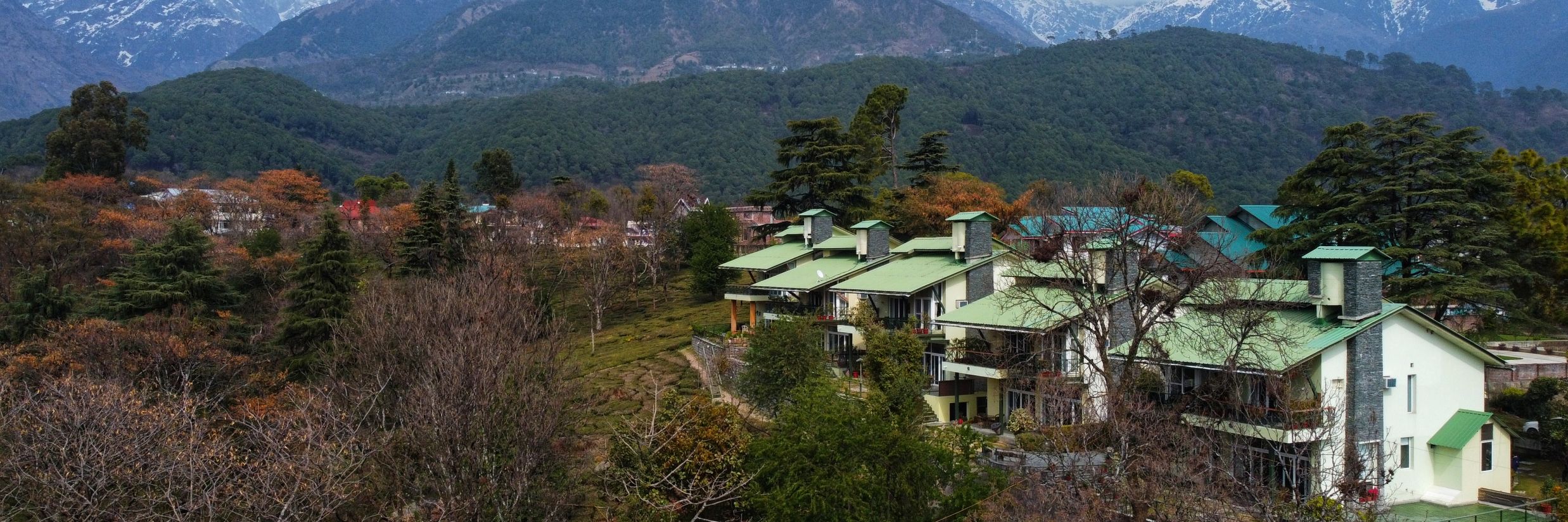 Bird eye view -@ Lamrin Norwood Green, Palampur