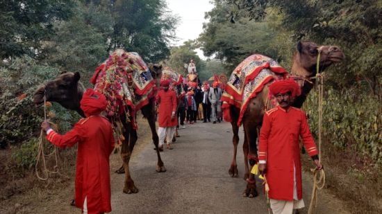 Royal Baraat Procession