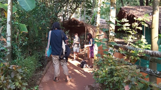 Tourists standing amidst a spice plantation in South Goa