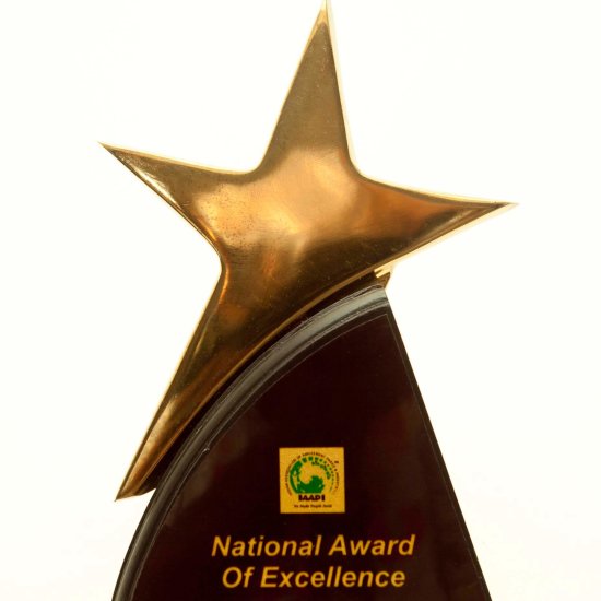 national awards for excellence winner