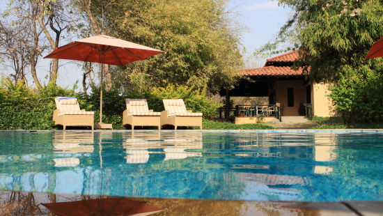 Swimming Pool at Infinity Resorts Bandhavgarh, Hotels in Madhya Pradesh 2