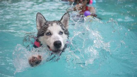 water-polo