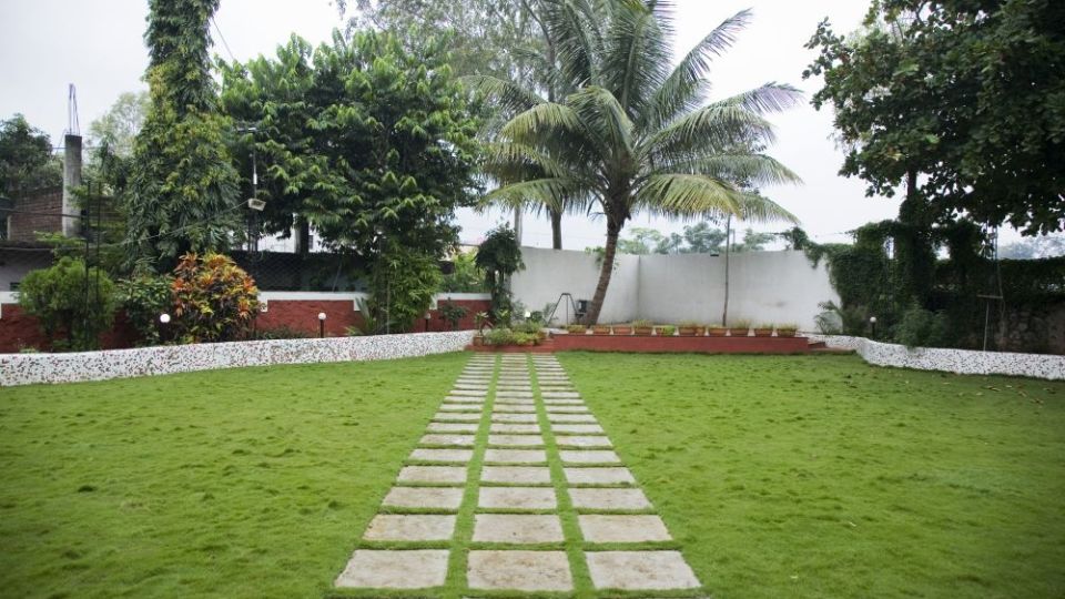 Garden pathway amidst the green grass