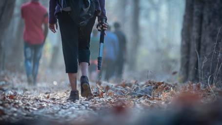 Group Trekking in Forest