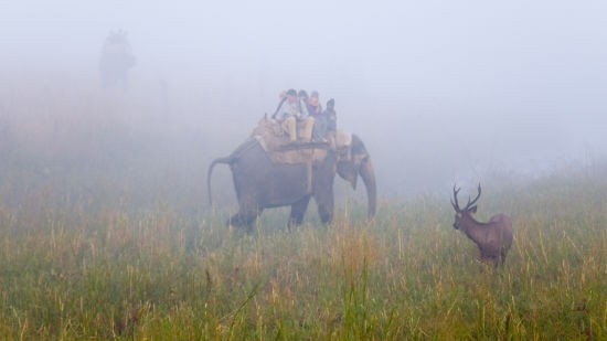 Sitabani Wildlife Reserve near Corbett Wild Iris Spa Resort