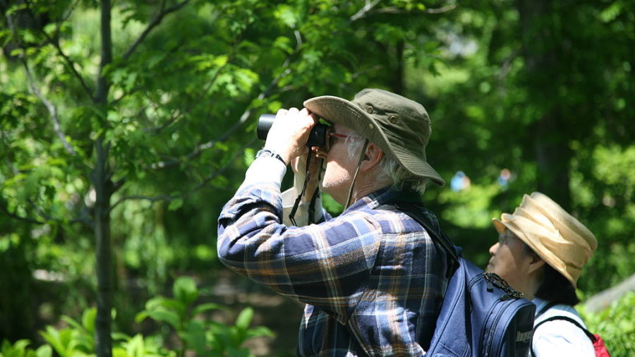 Ojaswi Himalayan Resort Nainital 1024px-Birdwatching