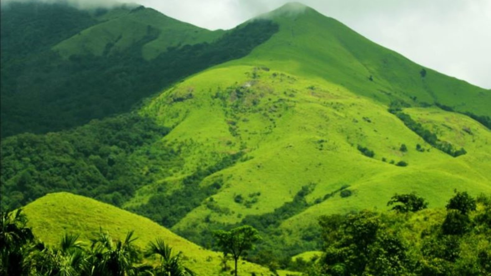 A top view of the Kumara parvatha with trees - Amanvana Resort Spa, places to visit in Coorg