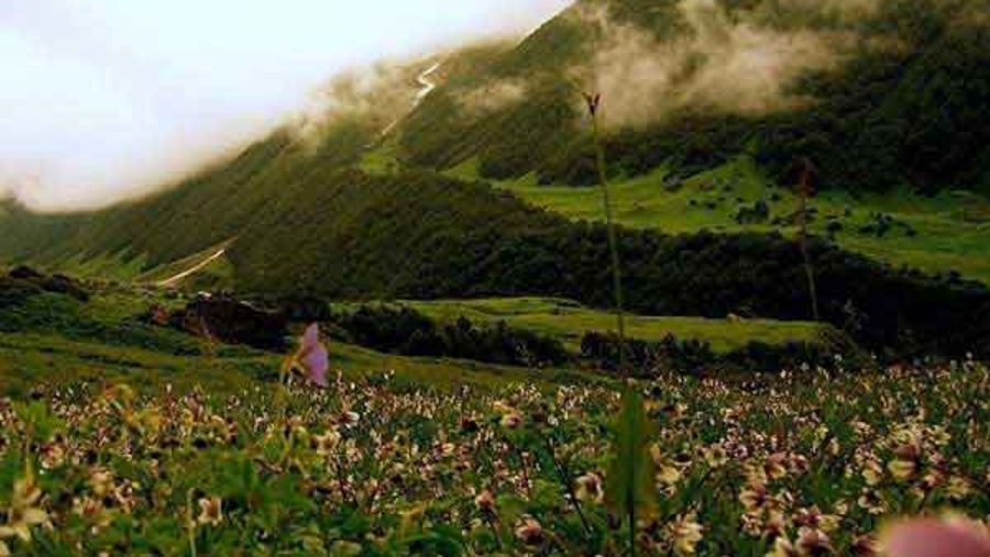 valley of flowers, uttarakhand