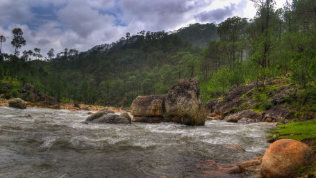 Kosi River the riverview retreat corbett resort