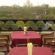 Hotel Taj Plaza Agra Rooftop Cafe Hotel Taj Plaza Agra 13