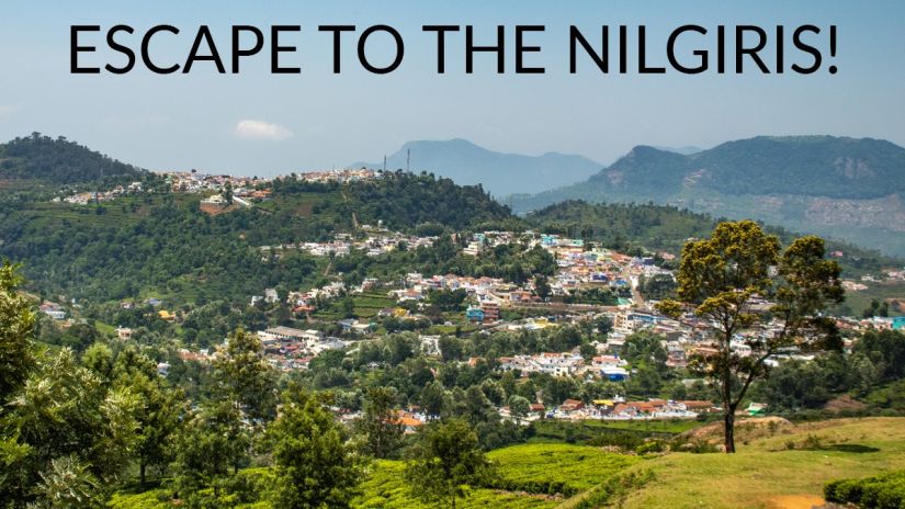 Escape to Nilgris