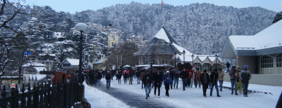 Ridge  Shimla Marigold Sarovar Portico Shimla Hotels in Shimla