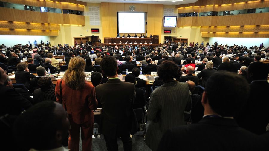 people attending a meeting