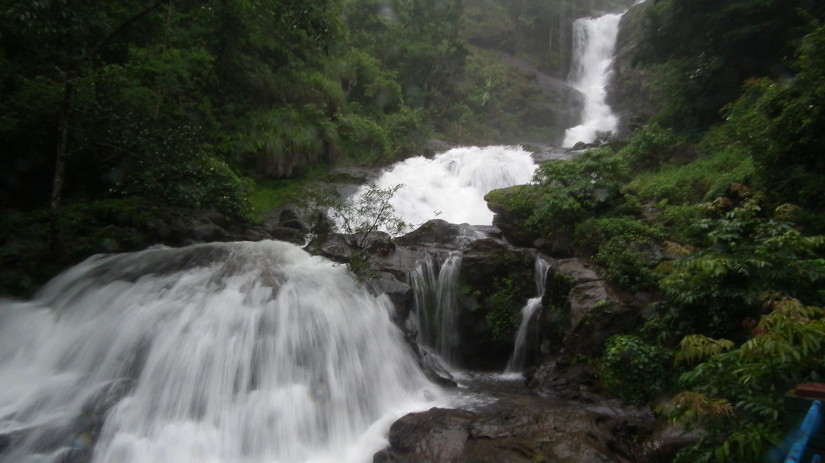 Flowing waterfall with lush greenery on a foggy day.