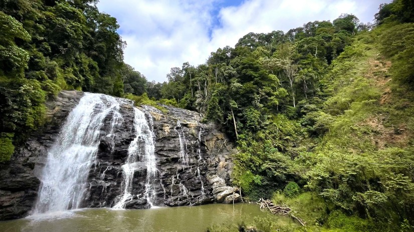 Abbey water falls amidst lush greenery