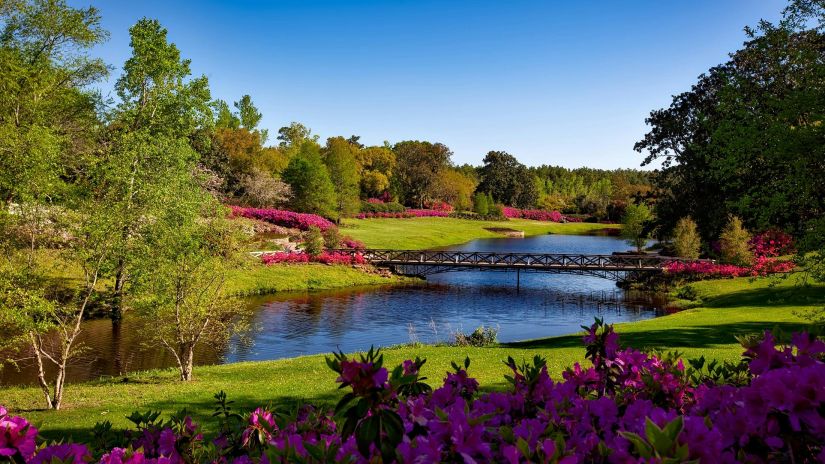 image of a serene park with colourful trees