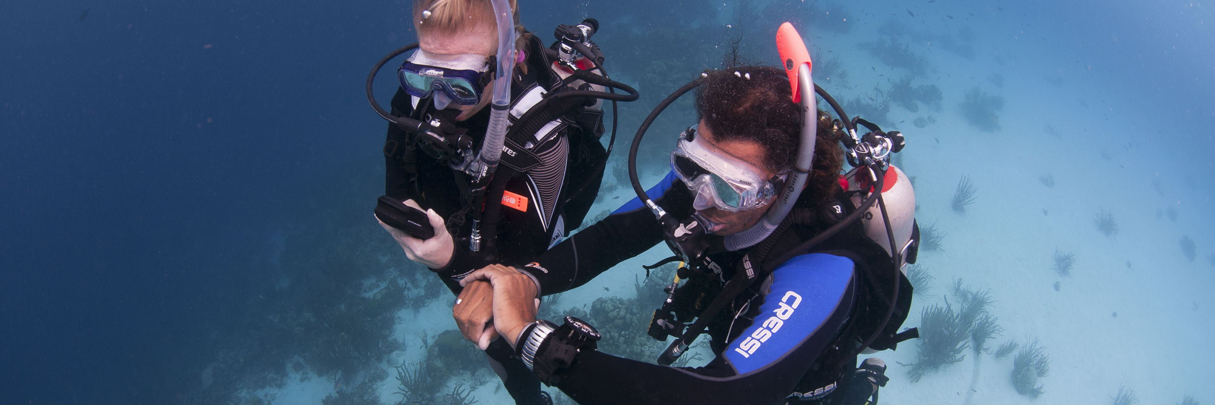 PADI IDC Staff Instructor Hero