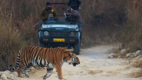 Bijrani Zone - Corbett National Park Near Corbett Wild Iris Spa Resort