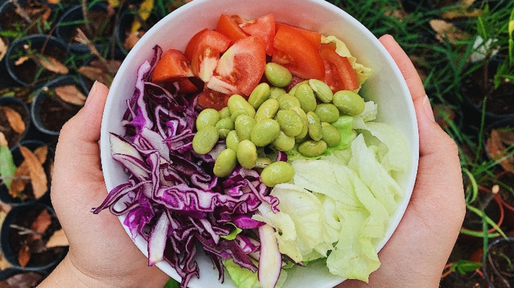 a bowl of healthy vegetables at YO1 Longevity Health Resorts Catskills