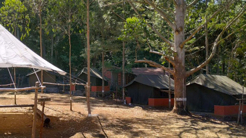 Let s Camp Yercaud tents 1