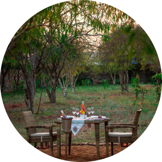 Dining table in an orchard, Brij Bageecha, Jaipur