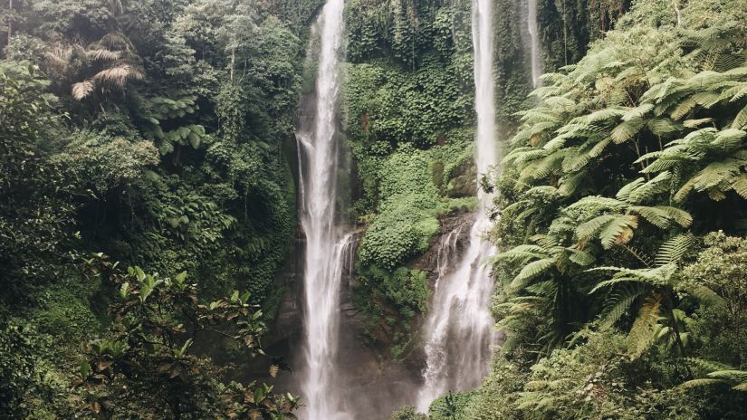 The view of Chadwick fall surrounded by trees at Shimla