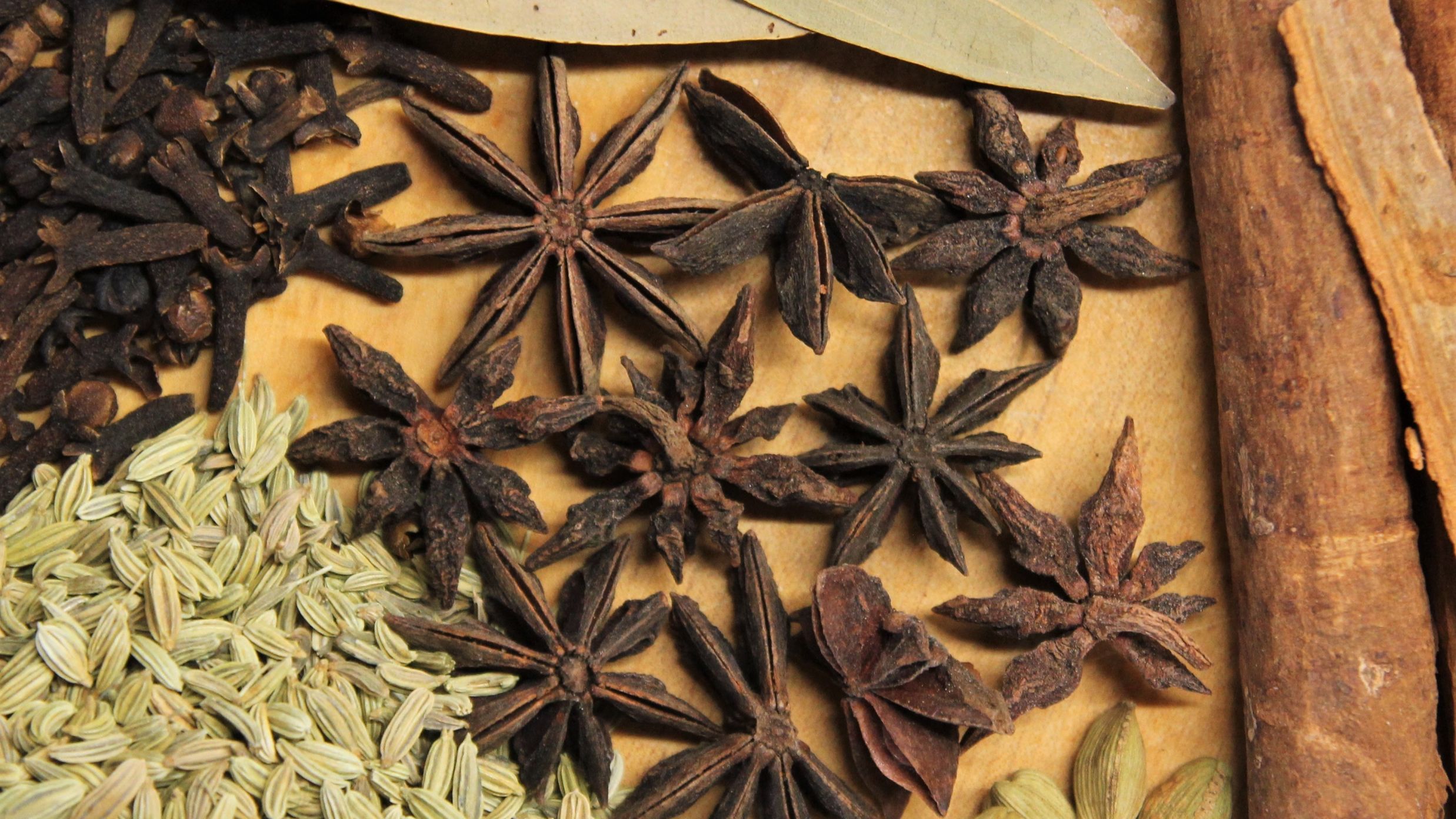 exotic spices like star anise, clove  @ Lamrin Ucassaim Hotel, Goa