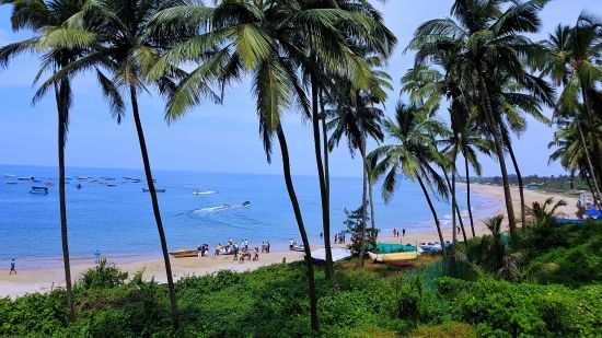 beach sand and palm trees with blue sky and sea as far the eyes can see @ Lamrin Ucassaim Hotel, Goa