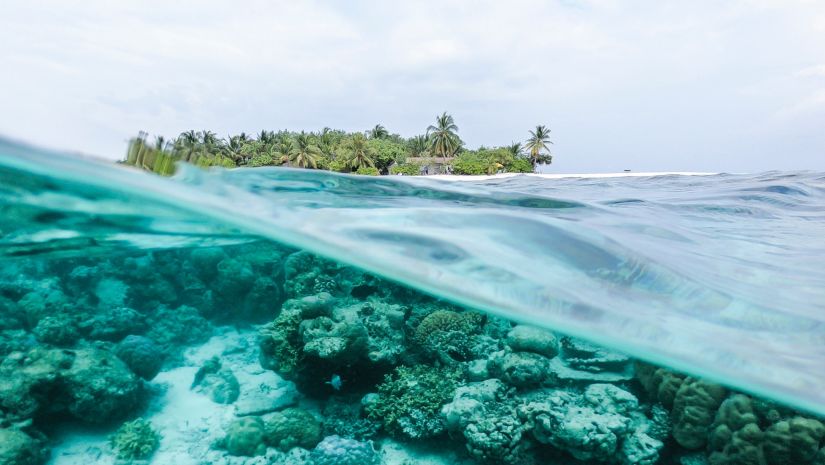 Picture taken in a manner such that the lower half of the image shows objects under water and the upper half features an island in the distance