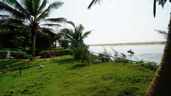 Garden with coconut tree overlooking the beach 